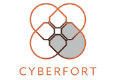 Cyberfort