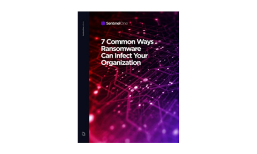 7 Common Ways Ransomware Can Infect Your Organization