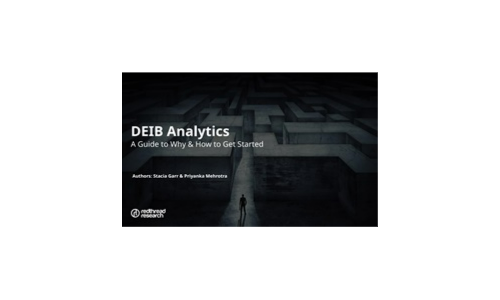 DEIB Analytics: A Guide to Why and How to Get Started