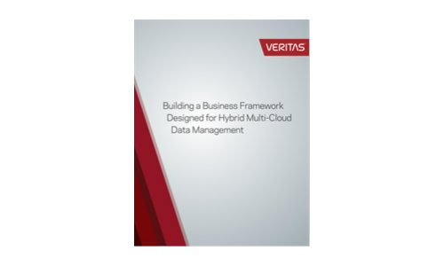 Learn how to build a business framework designed for data management