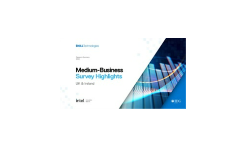 Medium-Business Survey Highlights