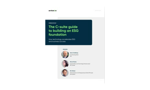 The C-suite guide to building an ESG foundation