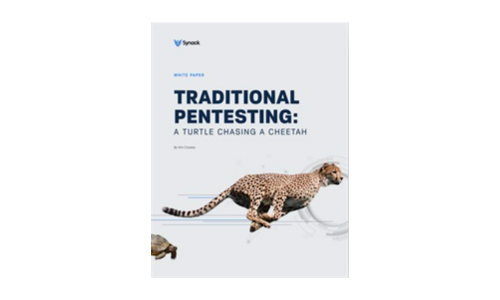 Traditional Pentesting: A Turtle Chasing A Cheetah